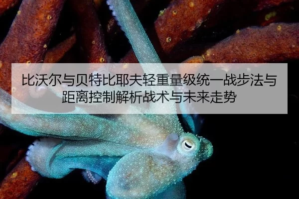 bi-wo-er-yu-bei-te-bi-ye-fu-qing-zhong-liang-ji-tong-yi-zhan-bu-fa-yu-ju-li-kong-zhi-jie-xi-zhan-shu-yu-wei-lai-zou-shi-2-538.jpg
